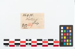 Etikett zu Bronzekahnfibel (NHMW-PRAE-026350)